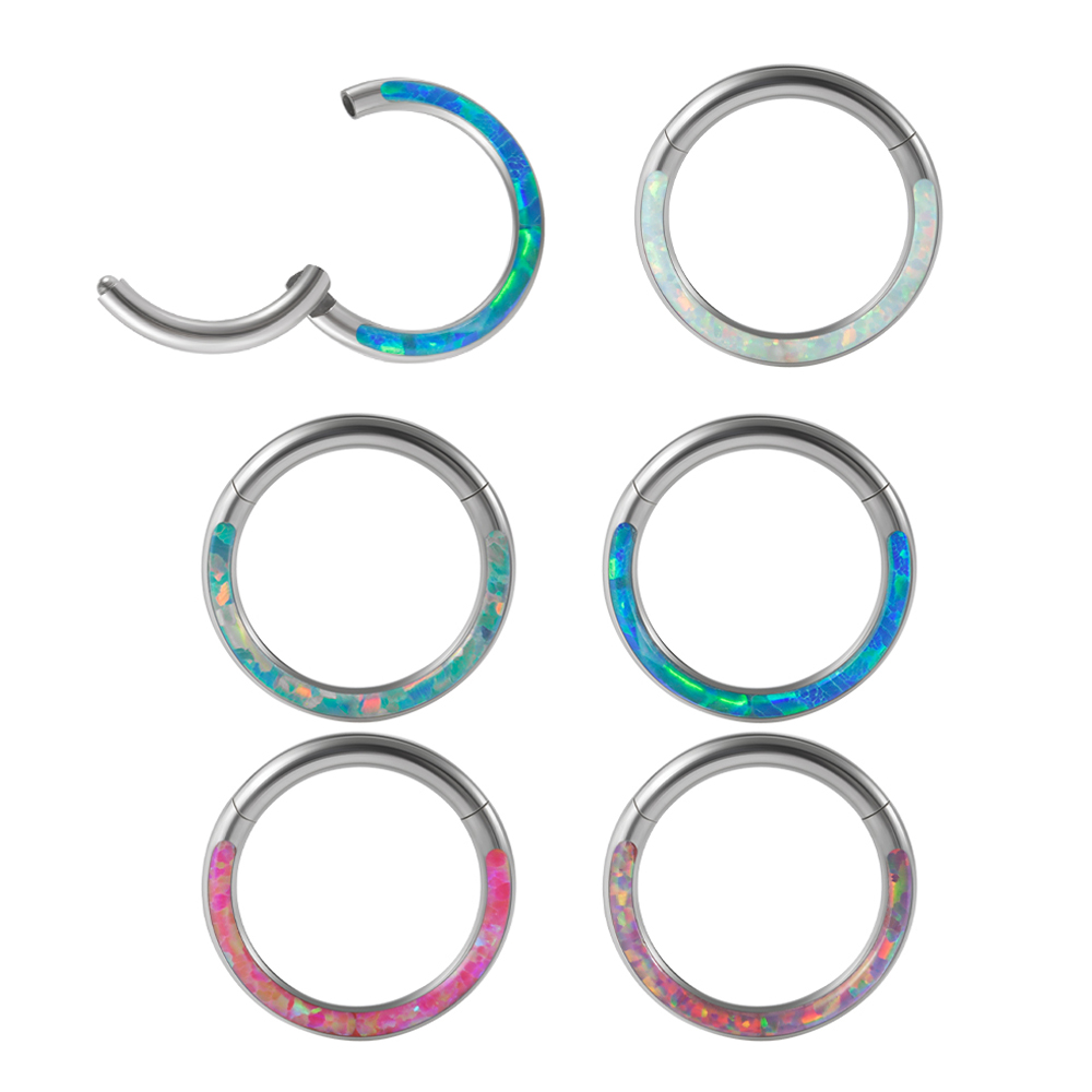 Body Piercing Quality Jewelry - 外科用鋼製ヒンジ付きクリッカー、鼻の、絶妙なフープ、リップイヤーリング、ボディピアスジュエリー、高品質、1個