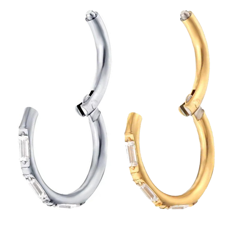 ASTM F136 チタンイヤリング高品質ジルコンハイトセグ - Body Piercing Quality Jewelry のレビューと価格
