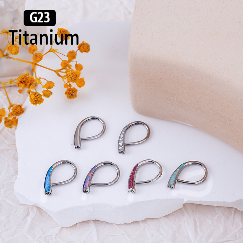 チタンセプタムクリッカー,鼻リング,セグメント耳珠,軟骨,デ - Body Piercing Quality Jewelry のレビューと価格