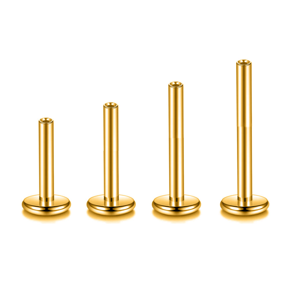 ラブレットピアスピン,チタン,フラットバックベース,ダイスコ - Flat Back Labret Stud のレビューと価格