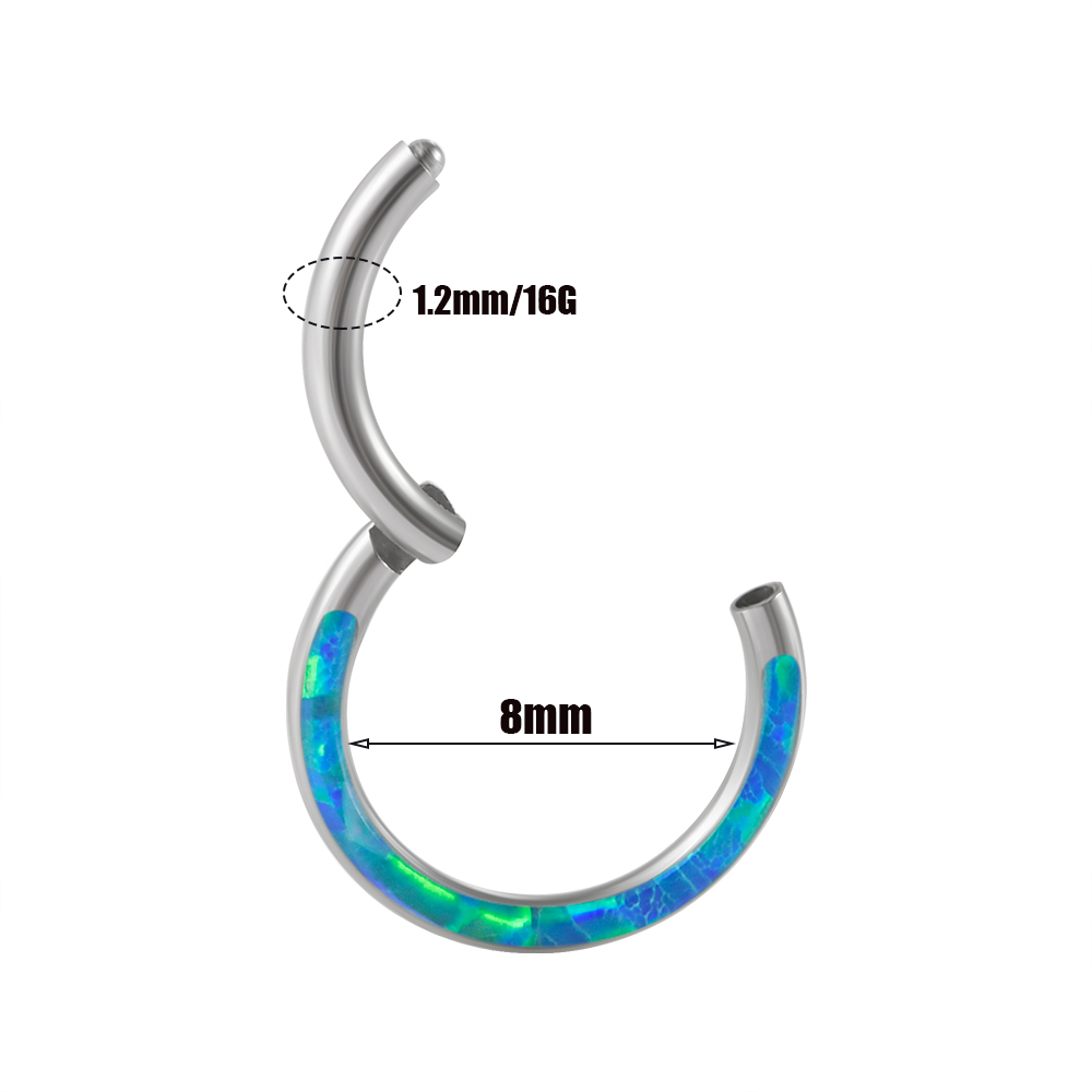 外科用鋼製ヒンジ付きクリッカー、鼻の、絶妙なフープ、リップイ - Body Piercing Quality Jewelry のレビューと価格