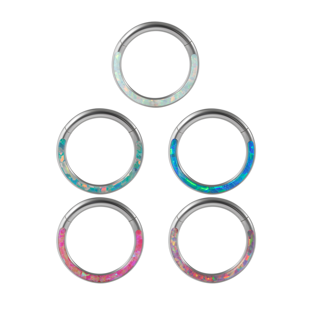 外科用鋼製ヒンジ付きクリッカー、鼻の、絶妙なフープ、リップイ - Body Piercing Quality Jewelry のレビューと価格