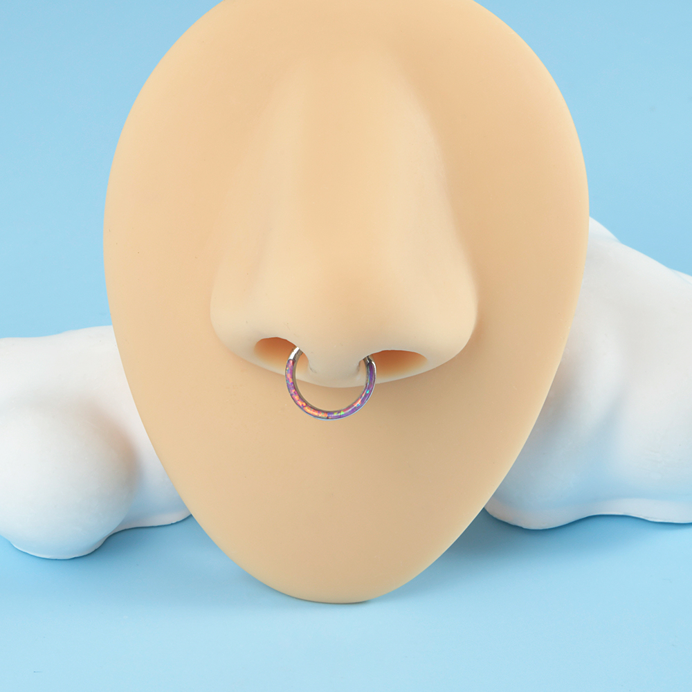 外科用鋼製ヒンジ付きクリッカー、鼻の、絶妙なフープ、リップイ - Body Piercing Quality Jewelry のレビューと価格
